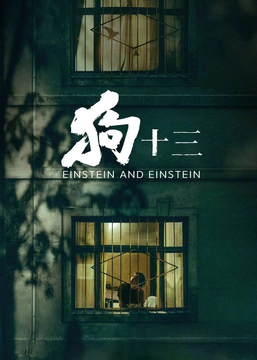 狗十三电影海报