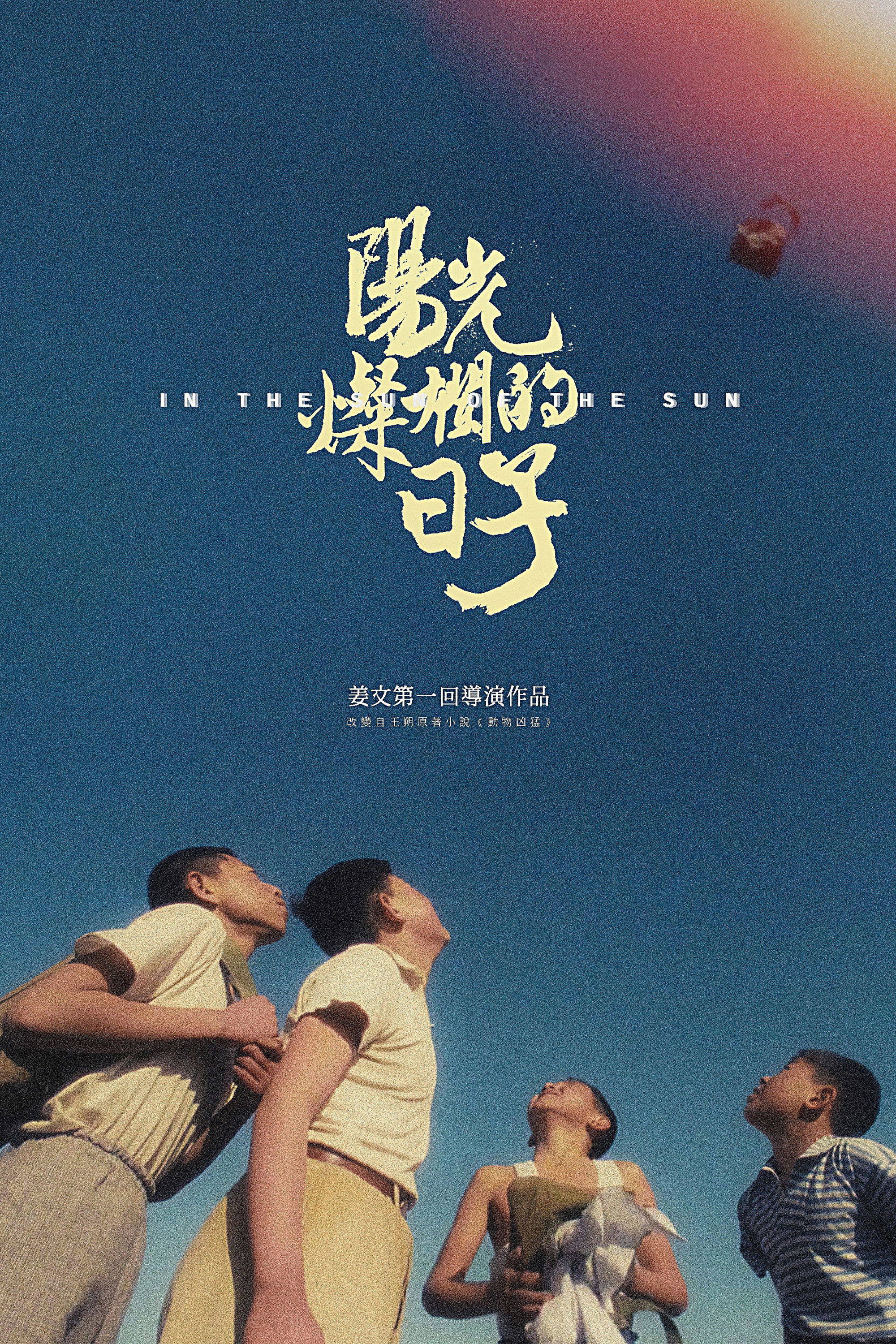 阳光灿烂的日子电影海报