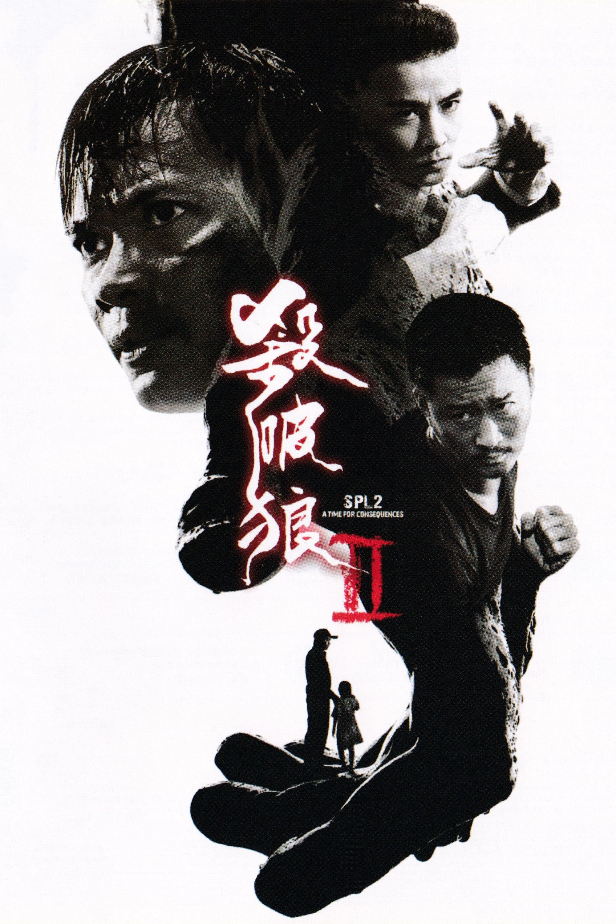 杀破狼2电影海报
