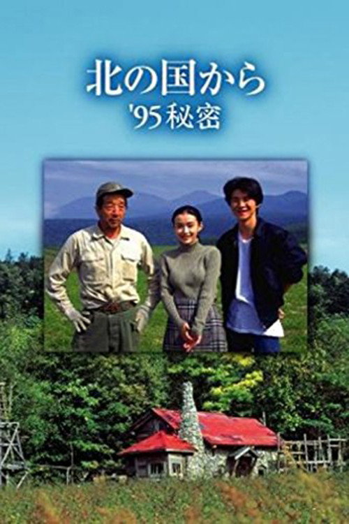 秘密之恋电影海报