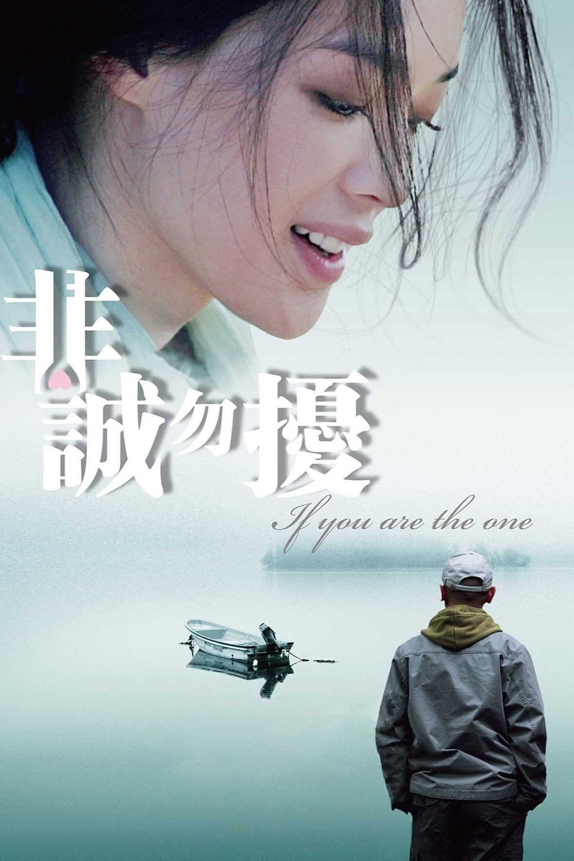 非诚勿扰电影海报