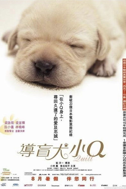 导盲犬小Q电影海报