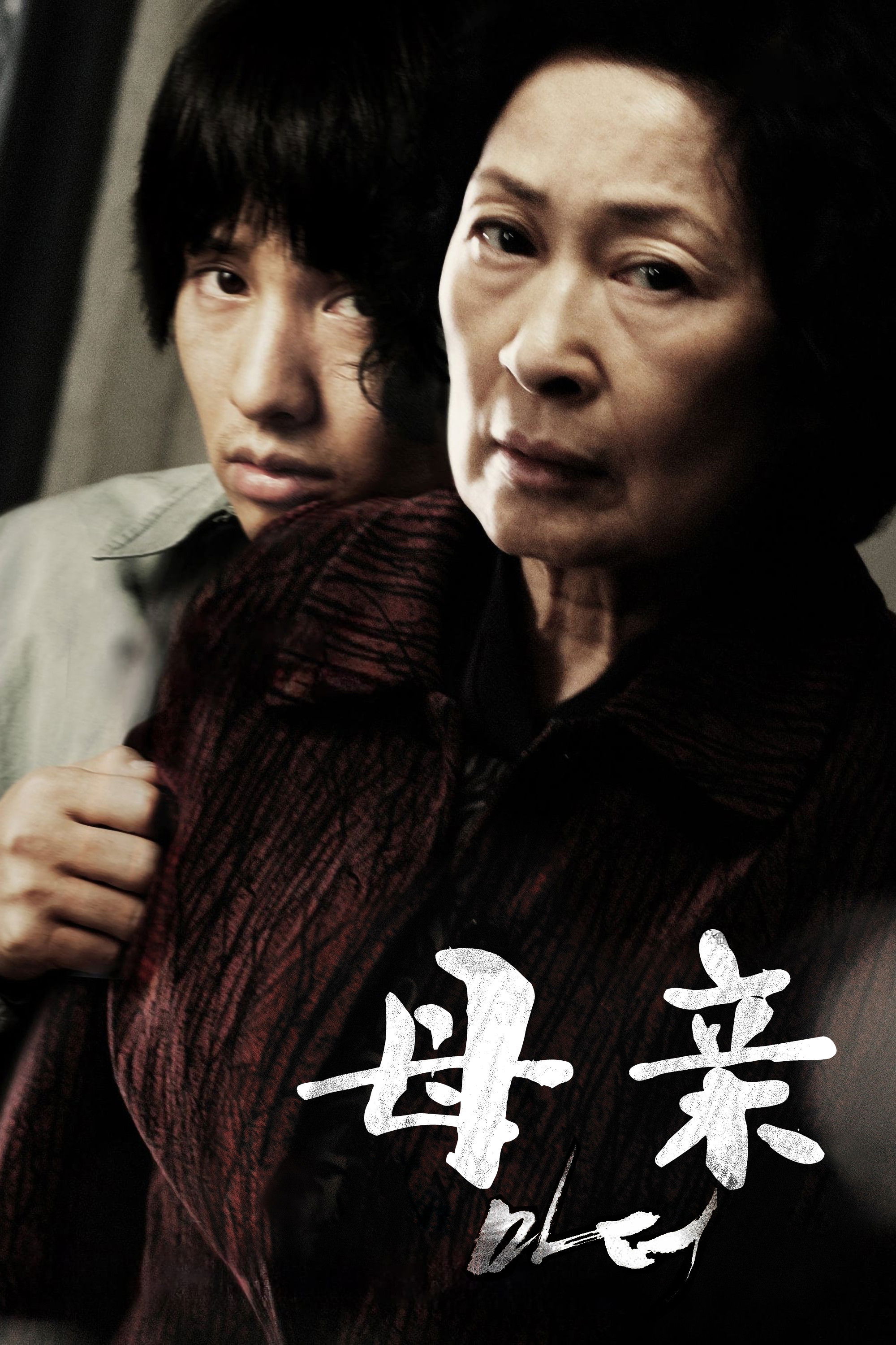 母亲2009电影海报